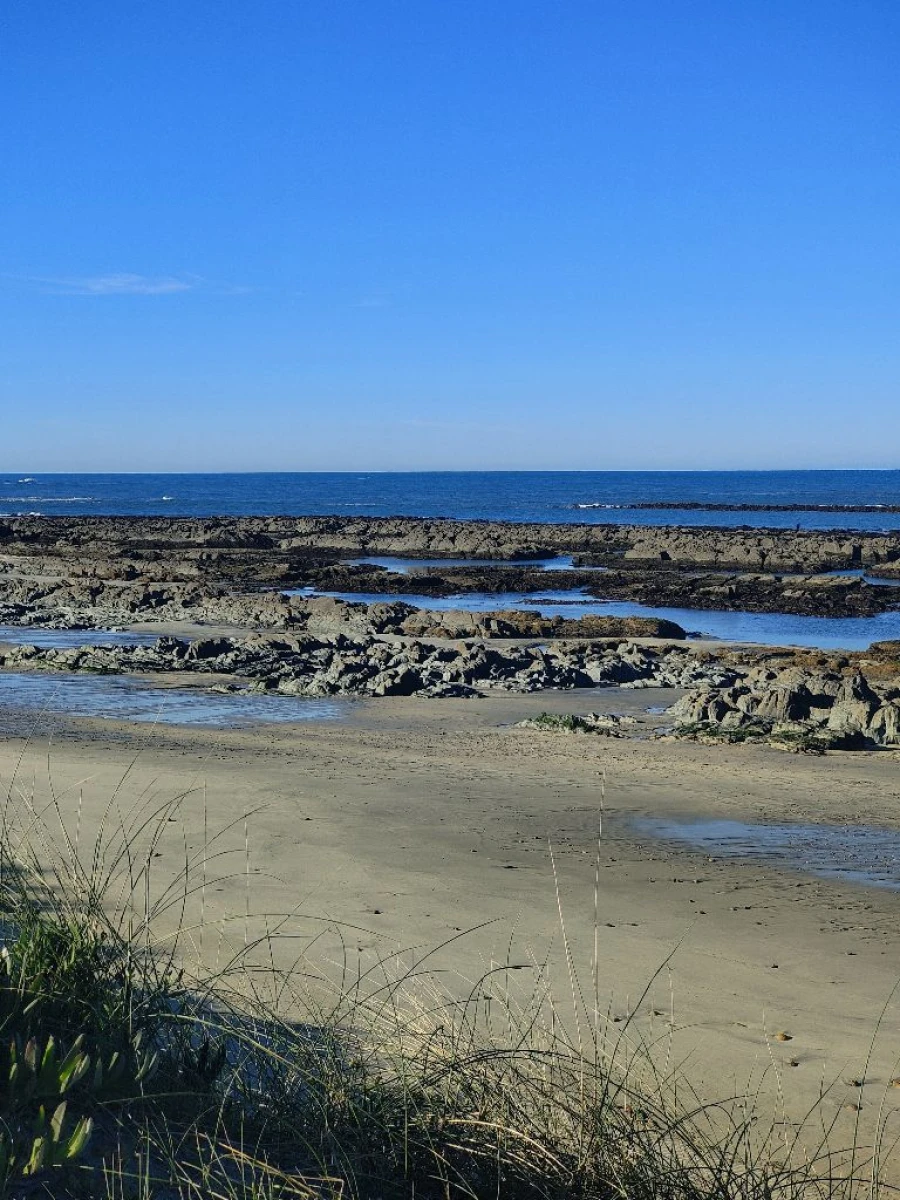 Negócio para Venda em praia da amorosa Foto 17