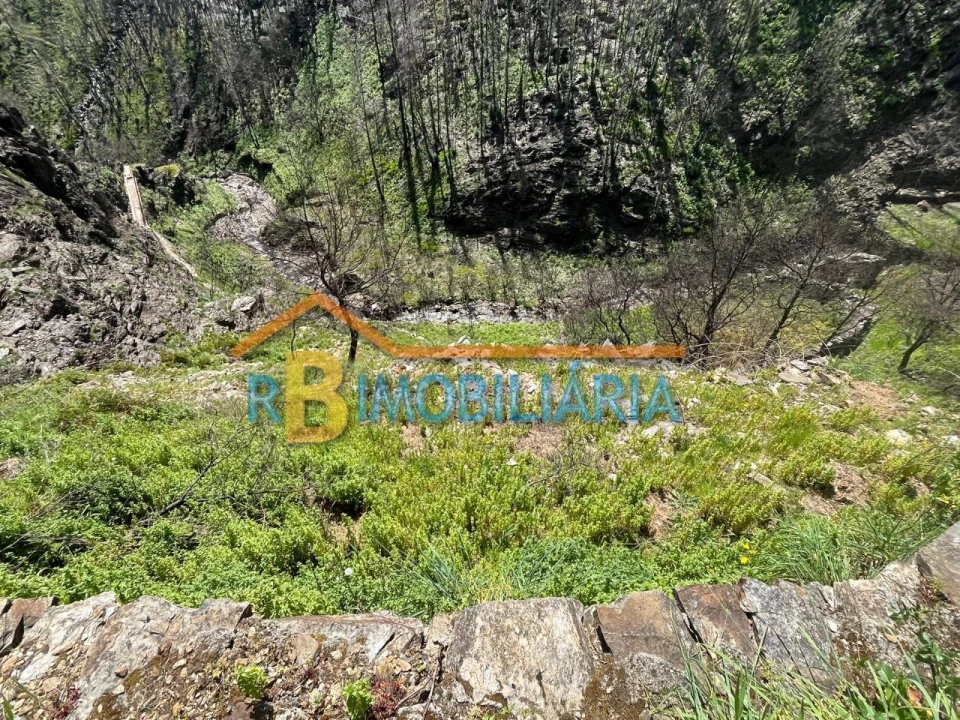 Moradia T1 para Venda em Fragoselas Foto 21