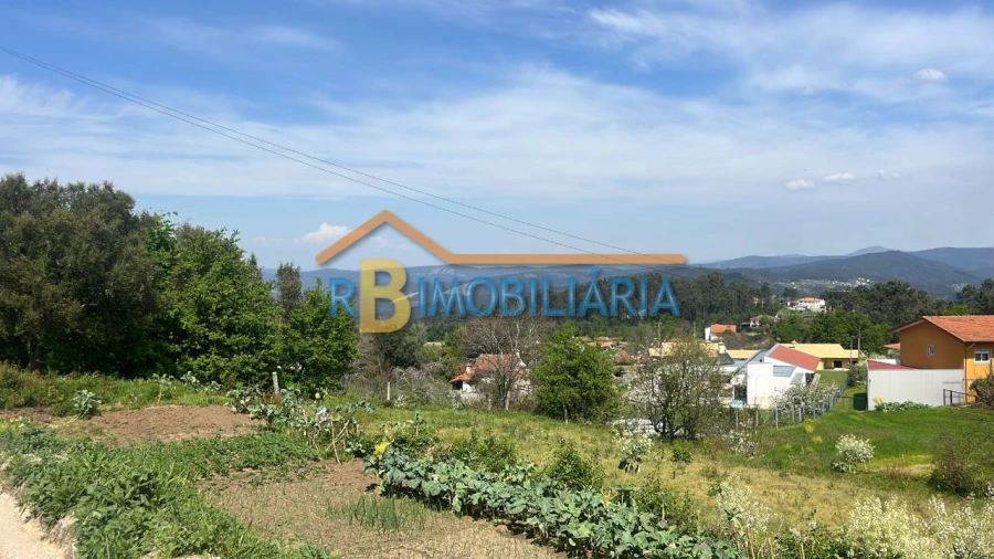 Terreno para Venda em Tojal Foto 2