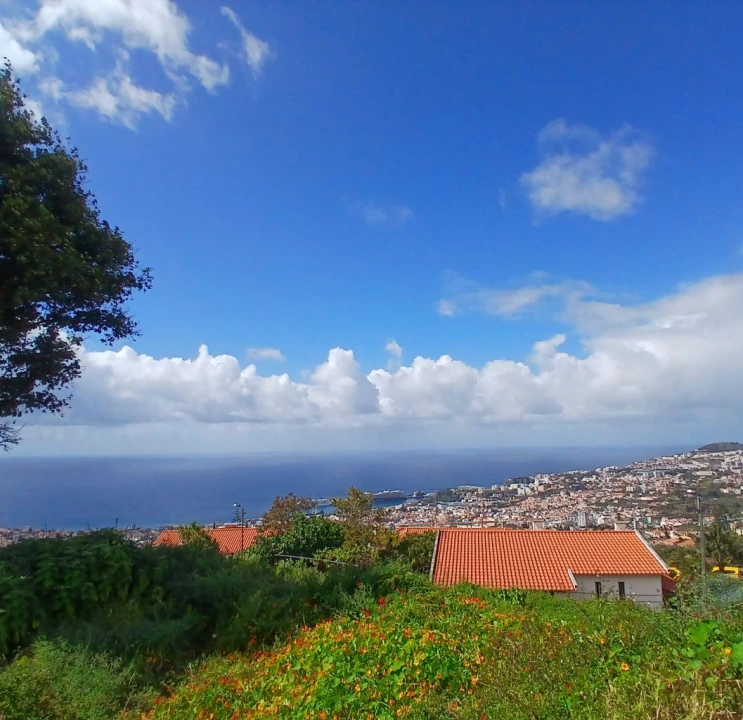 Moradia T3 para Venda em Funchal Foto 9