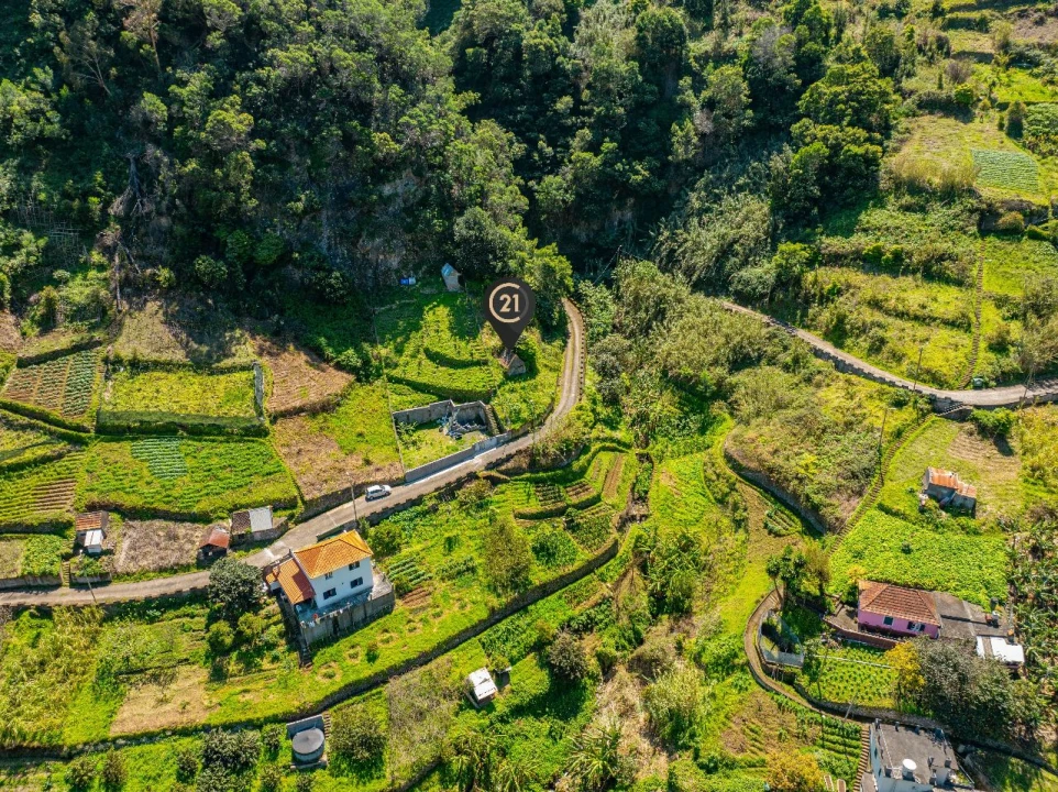 Terreno para Venda em Massapez Foto 7