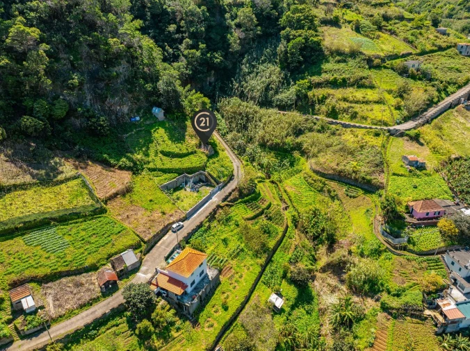 Terreno para Venda em Massapez Foto 6