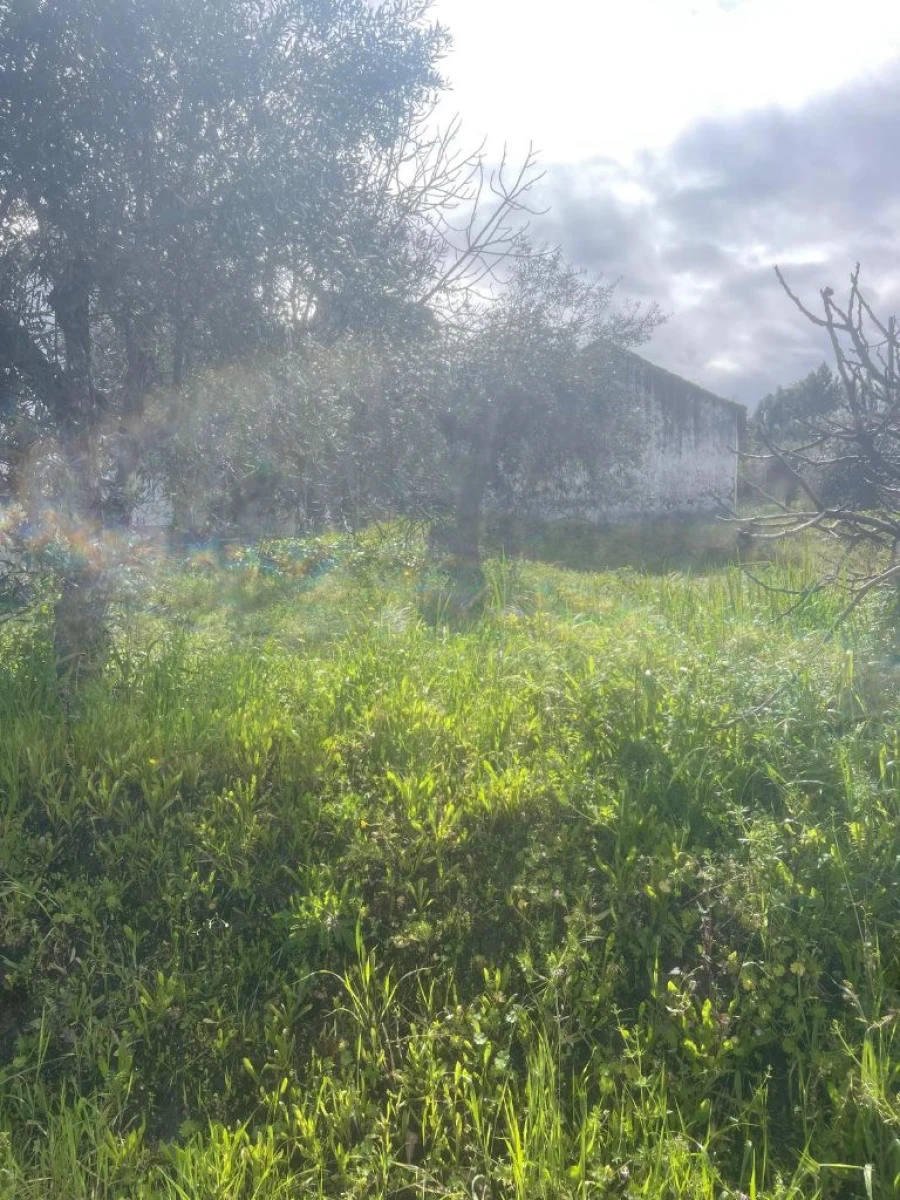 Moradia T2 para Venda em Abertas de Baixo Foto 6