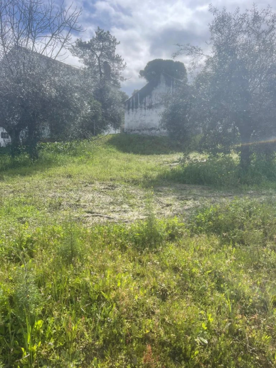 Moradia T2 para Venda em Abertas de Baixo Foto 9