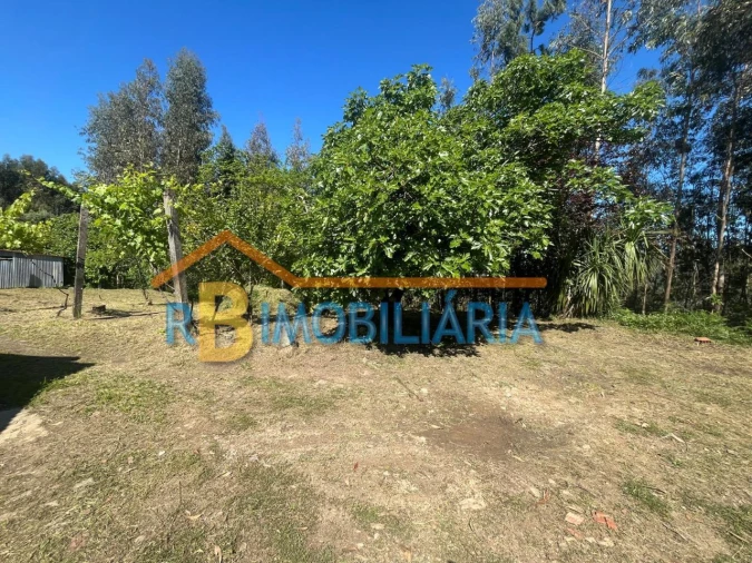 Moradia T2 para Venda em Tropeço Foto 6