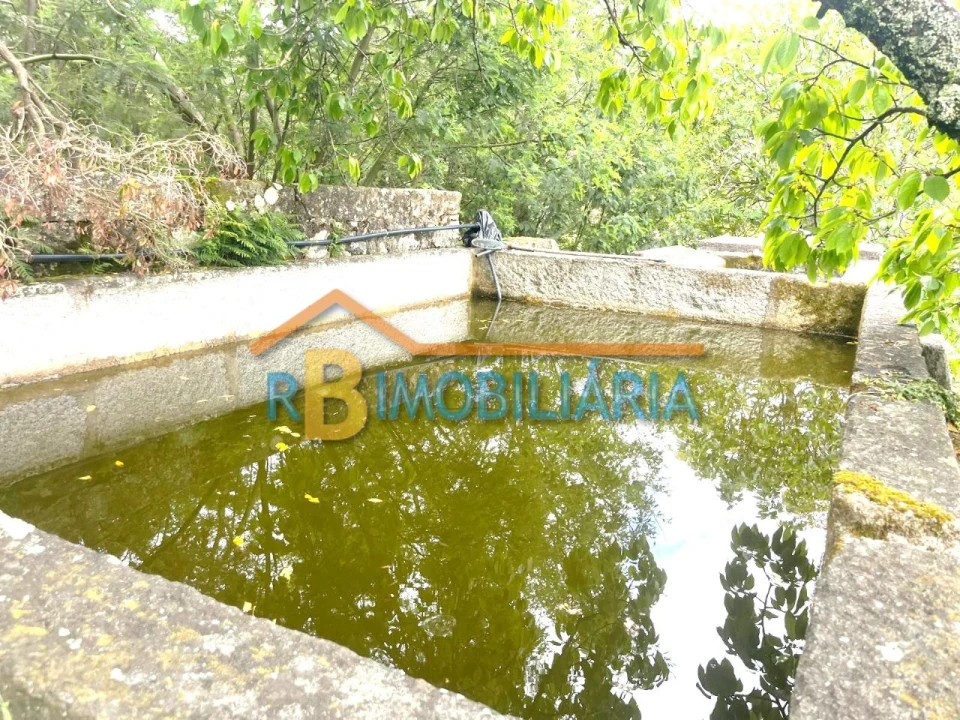 Quinta T5 para Venda em Figueiredo Foto 10