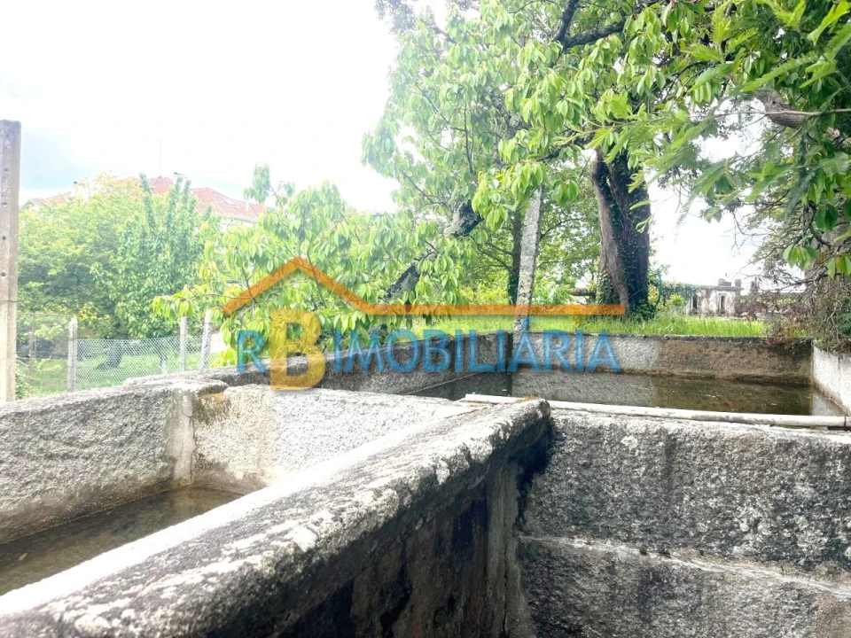 Quinta T5 para Venda em Figueiredo Foto 12