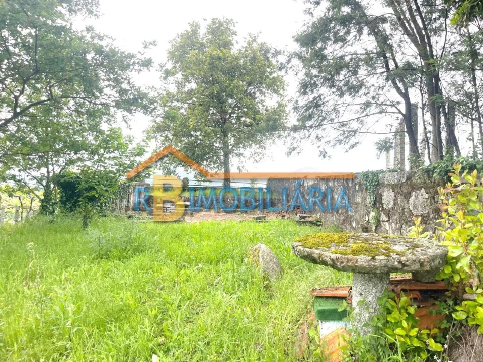 Quinta T5 para Venda em Figueiredo Foto 14