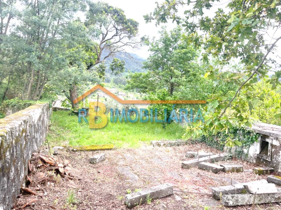 Quinta T5 para Venda em Figueiredo Foto 16