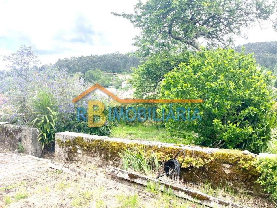 Quinta T5 para Venda em Figueiredo Foto 24