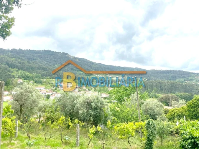 Quinta T5 para Venda em Figueiredo Foto 9