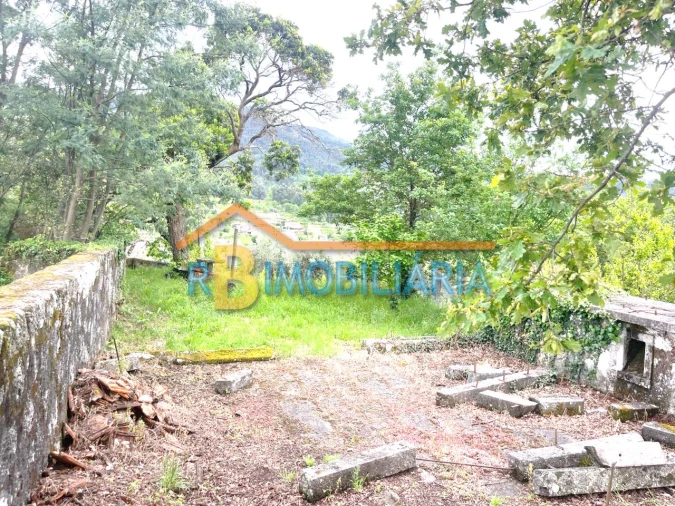 Quinta T5 para Venda em Figueiredo Foto 16