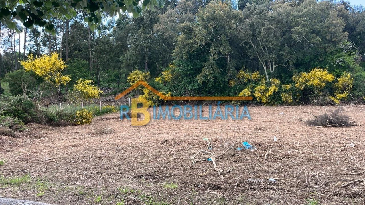 Terreno P/ Prédio para Venda em Pade Foto 2