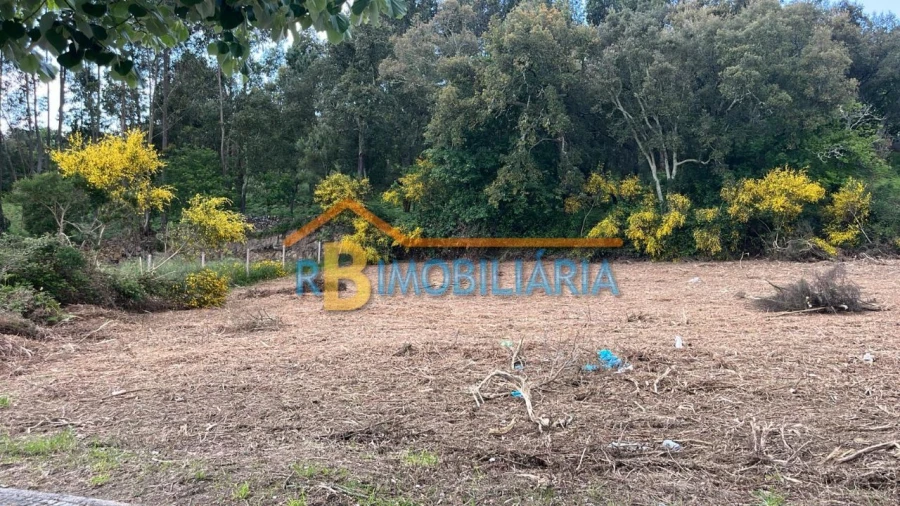 Terreno P/ Prédio para Venda em Pade Foto 2