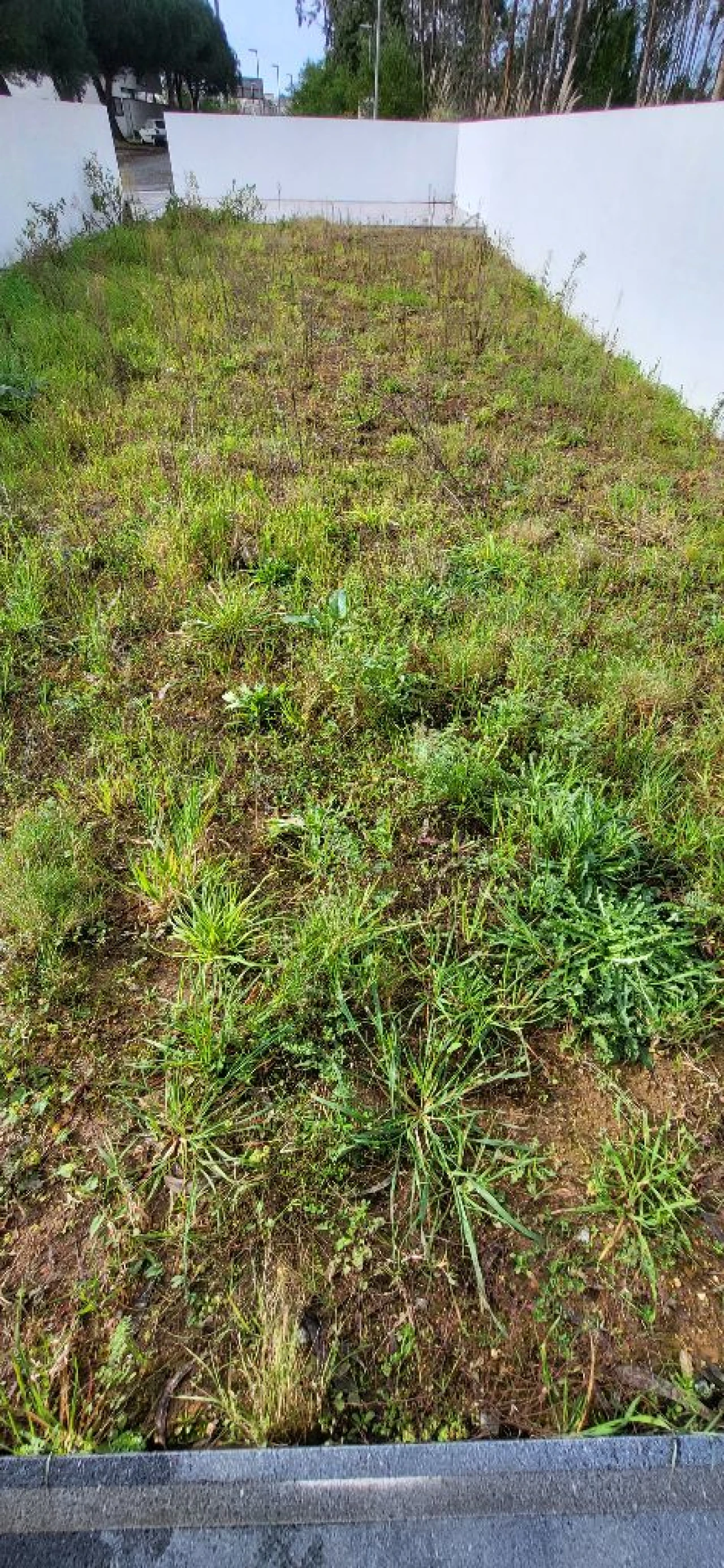 Moradia T4 para Venda em Espinho Foto 33