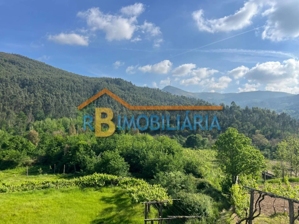 Terreno para Venda em Fundo de Vila Foto 5