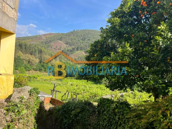 Terreno para Venda em Fundo de Vila Foto 1