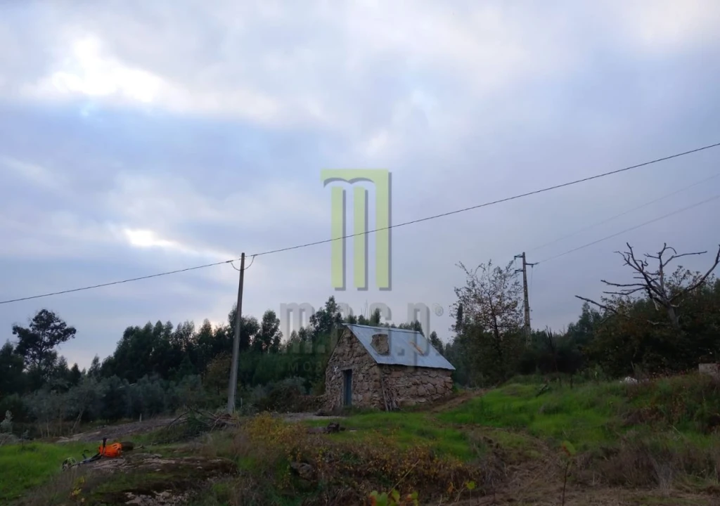Terreno para Venda em Lagares da Beira, Oliveira do Hospital Foto 1