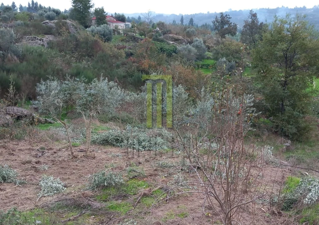 Terreno para Venda em Lagares da Beira, Oliveira do Hospital Foto 5