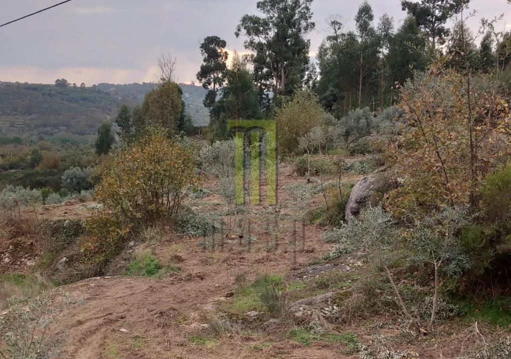 Terreno para Venda em Lagares da Beira, Oliveira do Hospital Foto 7