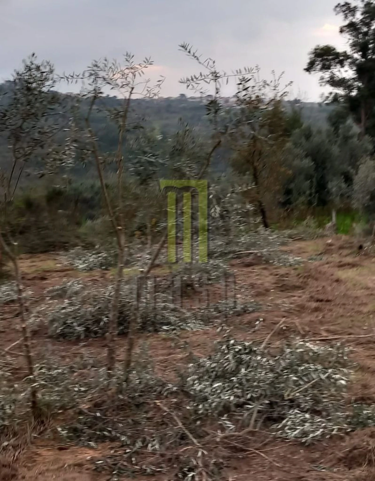 Terreno para Venda em Lagares da Beira, Oliveira do Hospital Foto 9