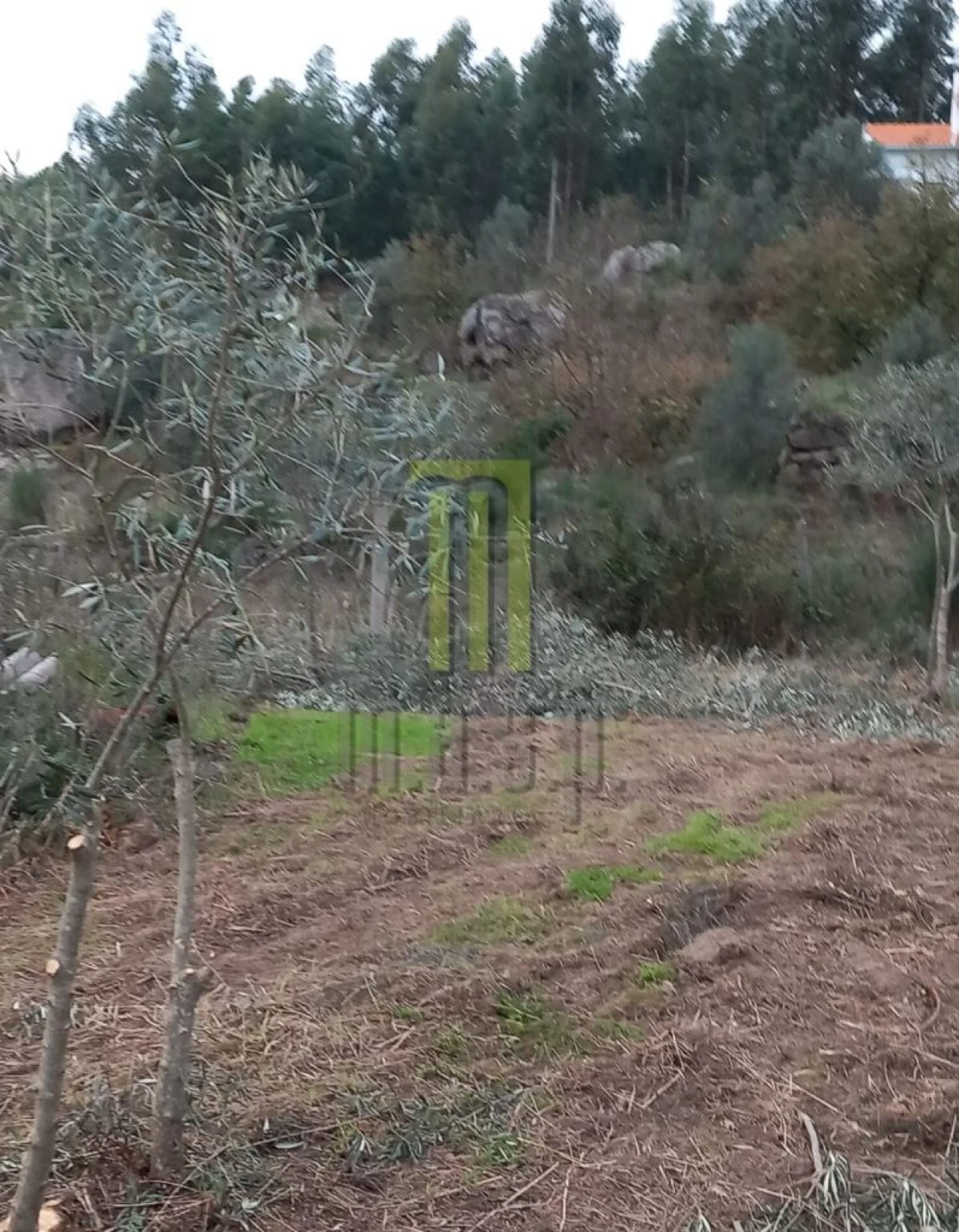 Terreno para Venda em Lagares da Beira, Oliveira do Hospital Foto 10