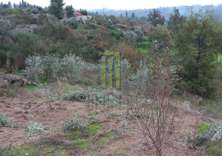 Terreno para Venda em Lagares da Beira, Oliveira do Hospital Foto 5