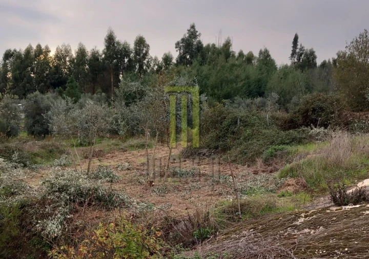 Terreno para Venda em Lagares da Beira, Oliveira do Hospital Foto 6