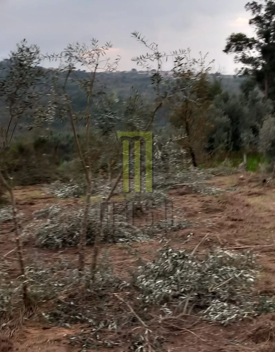 Terreno para Venda em Lagares da Beira, Oliveira do Hospital Foto 9