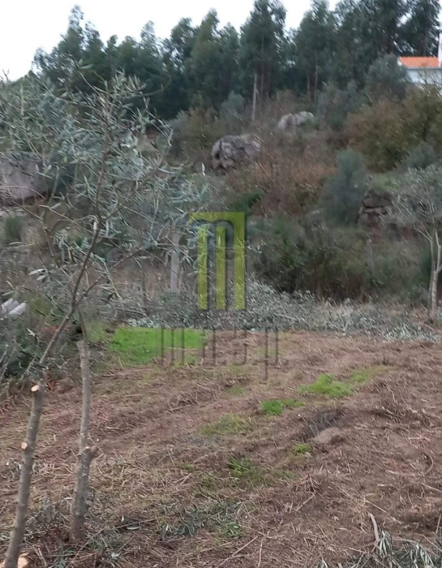 Terreno para Venda em Lagares da Beira, Oliveira do Hospital Foto 10