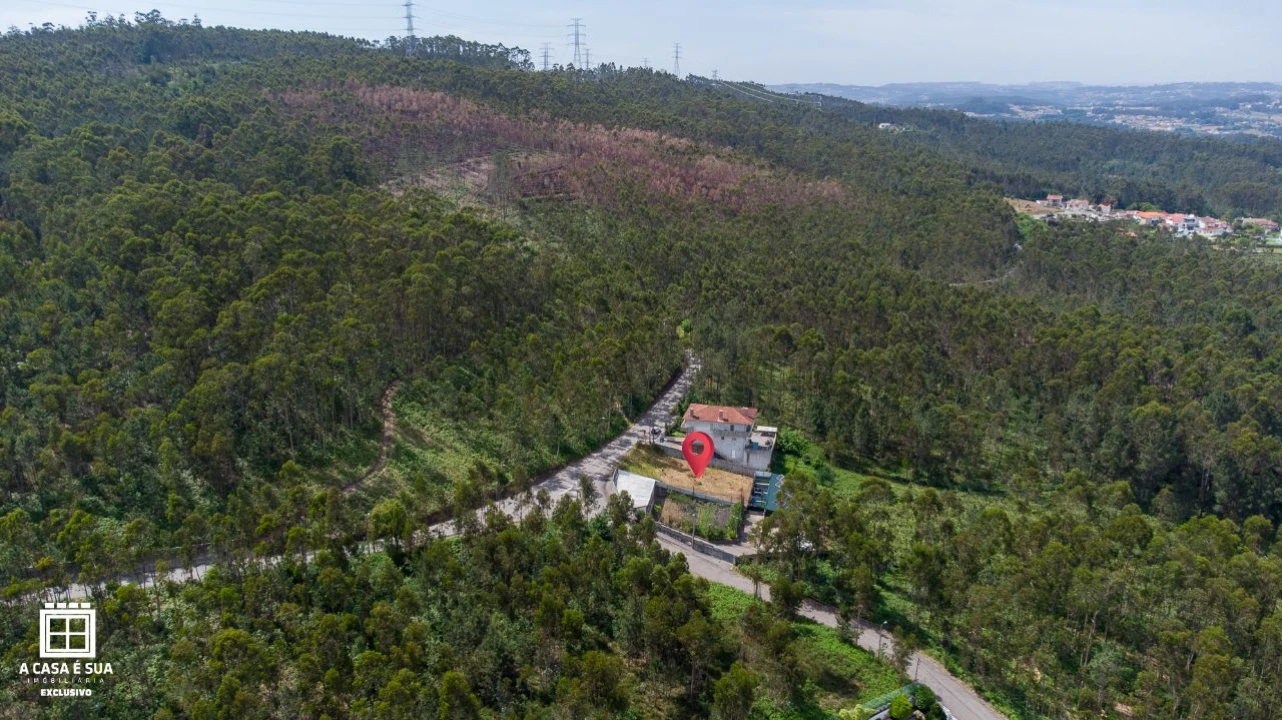 Terreno P/ Prédio para Venda em Reguenga Foto 9