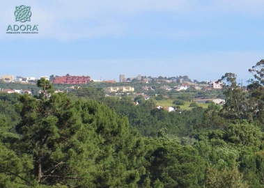 Moradia T3 para Venda em Aiana
