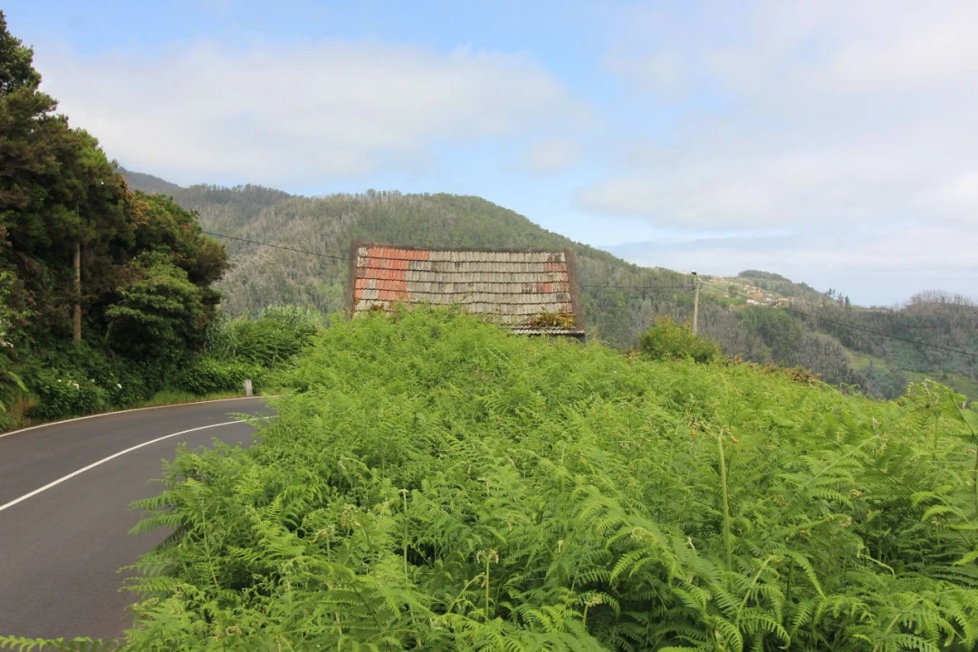 Terreno P/ Prédio para Venda em Casais de Baixo Foto 22