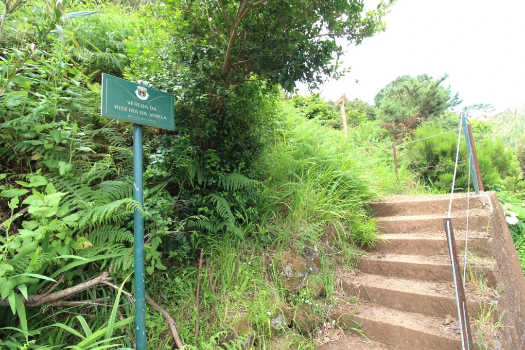 Terreno P/ Prédio para Venda em Casais de Baixo Foto 29