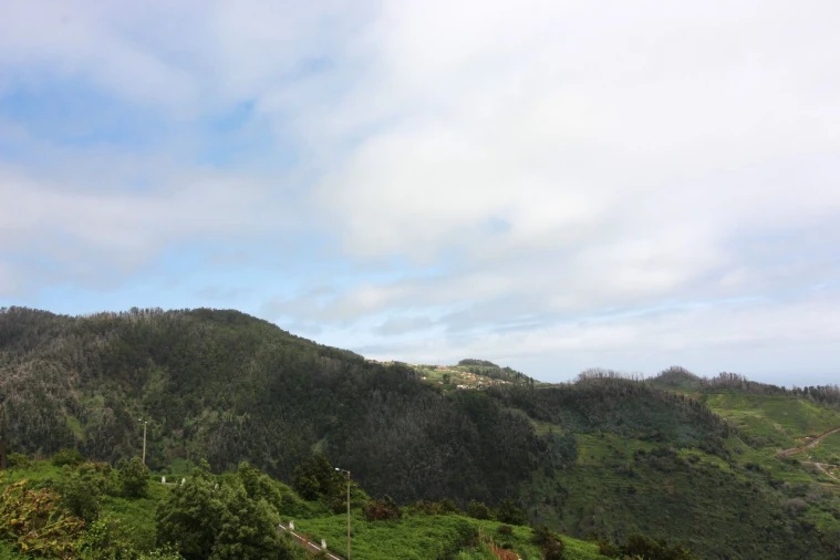 Terreno P/ Prédio para Venda em Casais de Baixo Foto 15