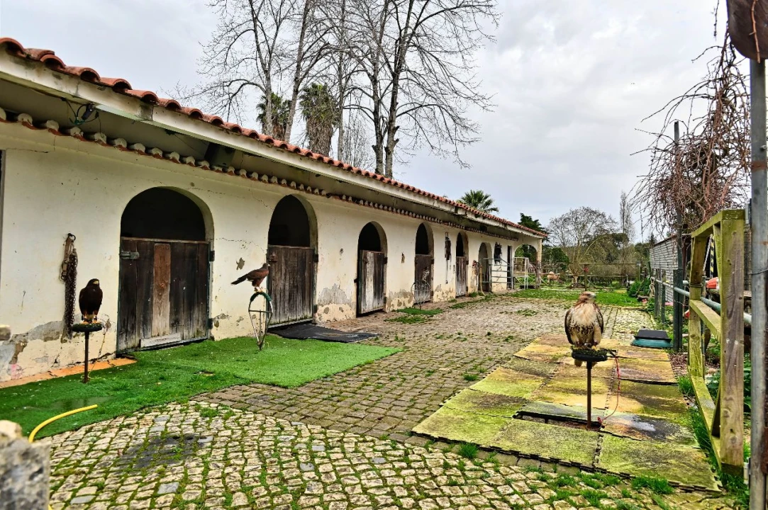 Quinta para Venda em Algueirão Foto 5