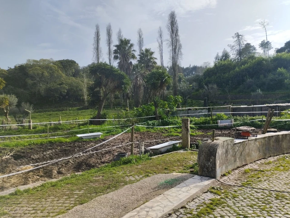 Quinta para Venda em Algueirão Foto 6
