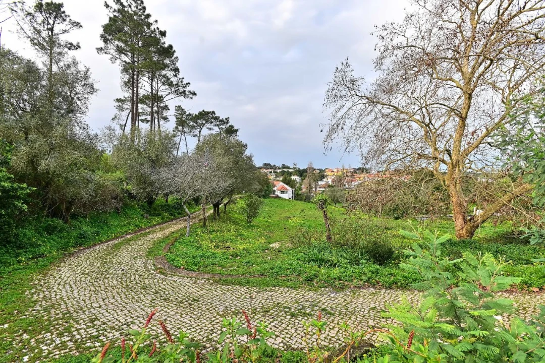 Quinta para Venda em Algueirão Foto 14