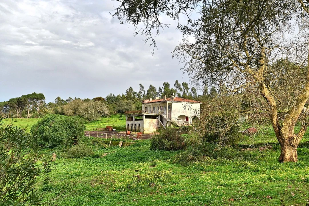 Quinta para Venda em Algueirão Foto 16