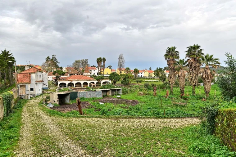 Quinta para Venda em Algueirão Foto 8