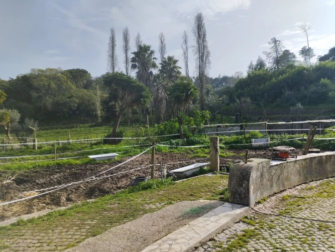 Quinta para Venda em Algueirão Foto 6