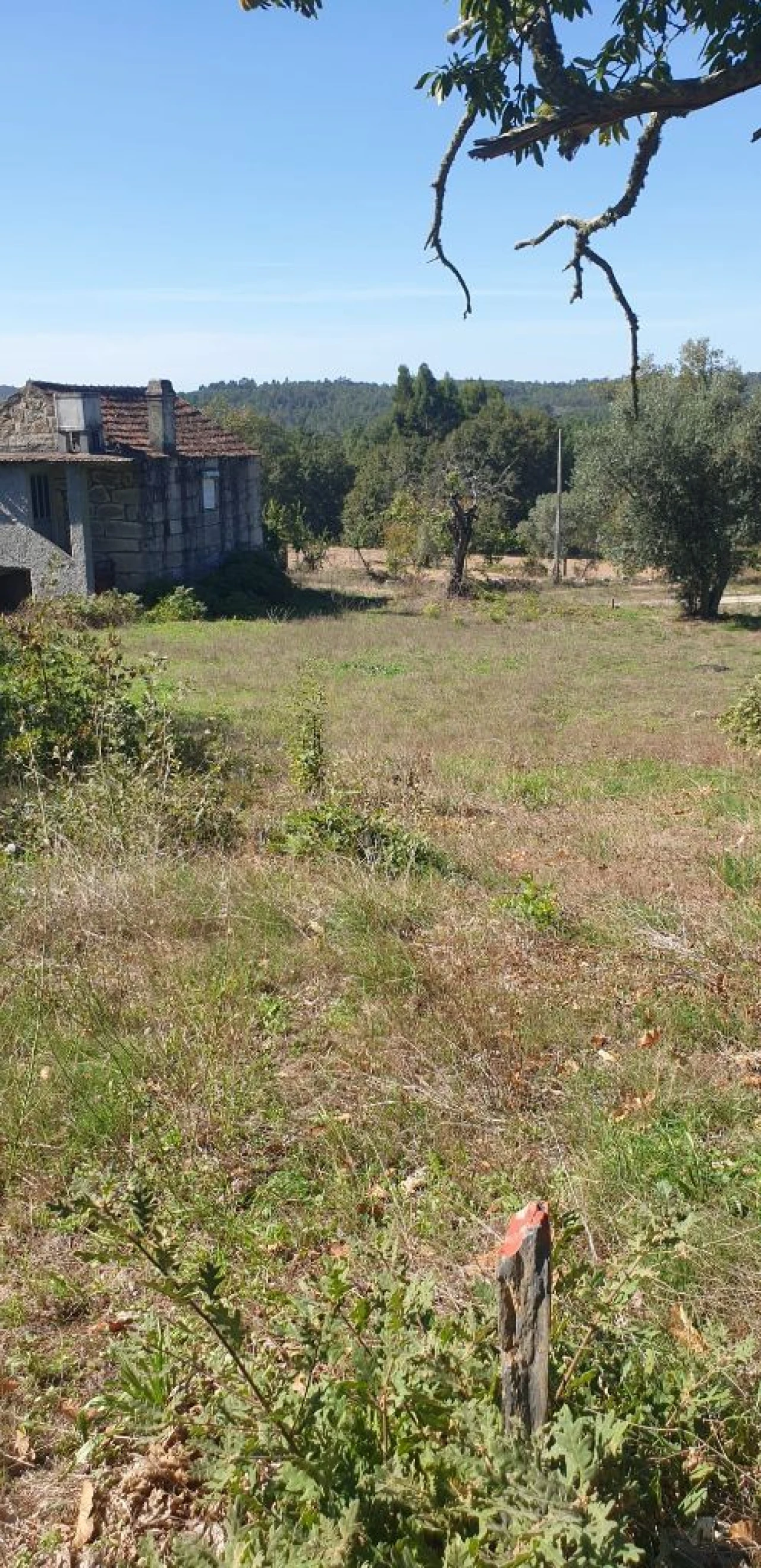 Moradia T5 para Venda em Quinta da Barreira Foto 12