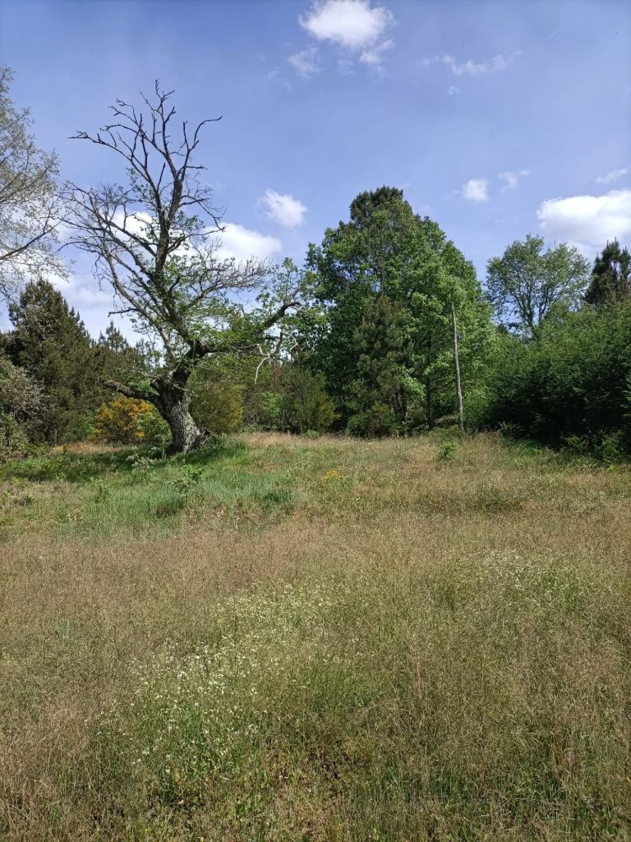 Moradia T5 para Venda em Quinta da Barreira Foto 17