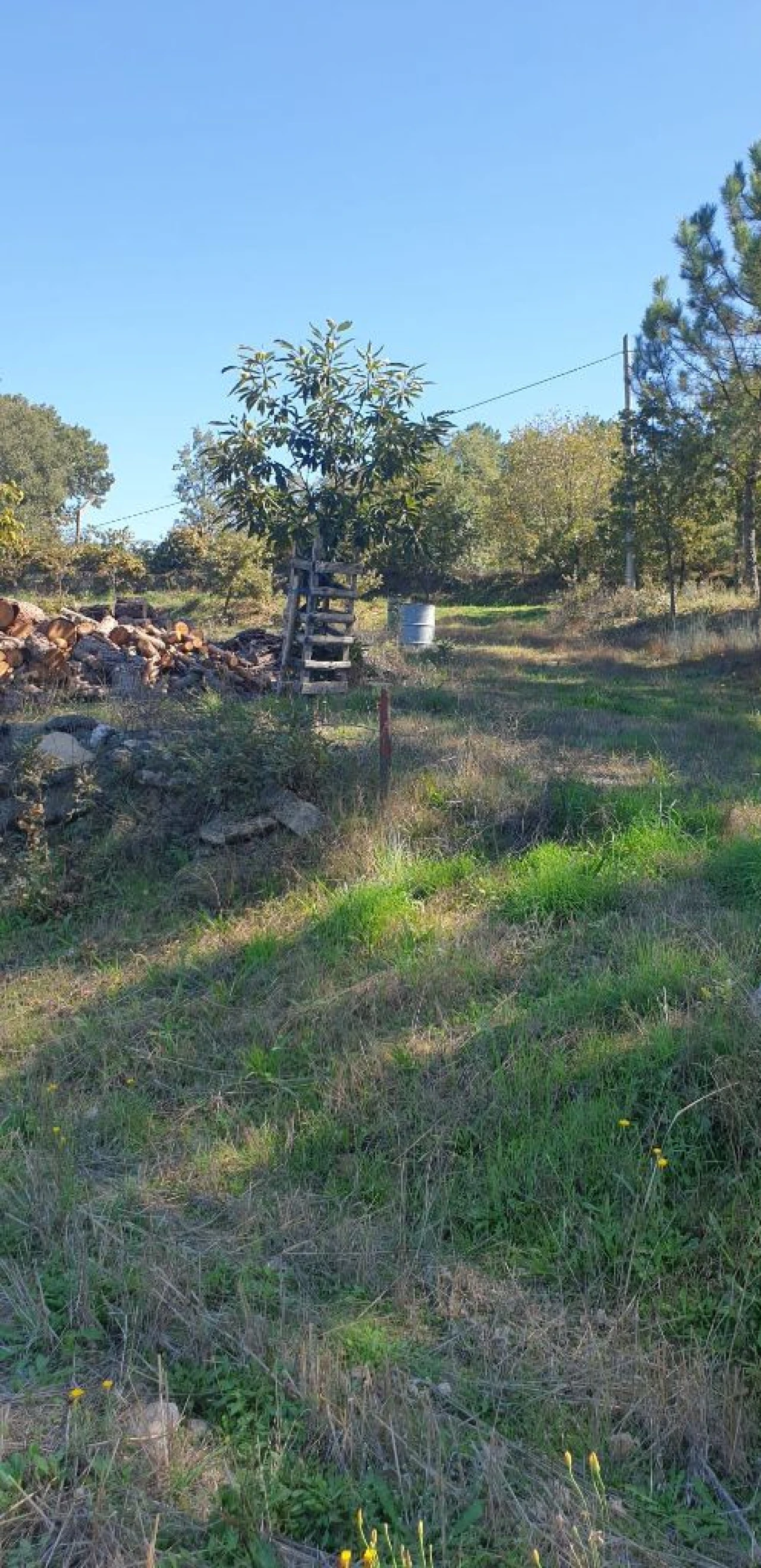 Moradia T5 para Venda em Quinta da Barreira Foto 20