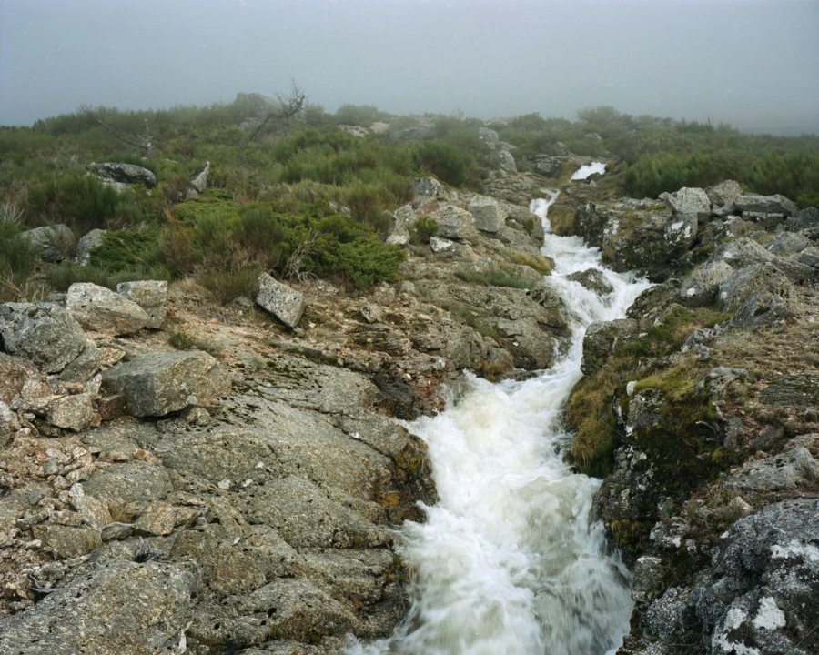 Moradia T5 para Venda em Quinta da Barreira Foto 18