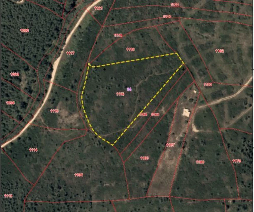 Terreno para Venda em Mato dos Cabeços Foto 1