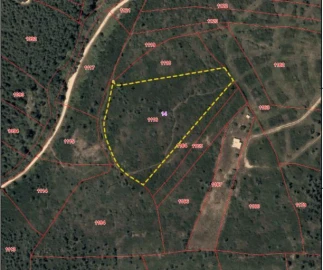 Terreno para Venda em Mato dos Cabeços