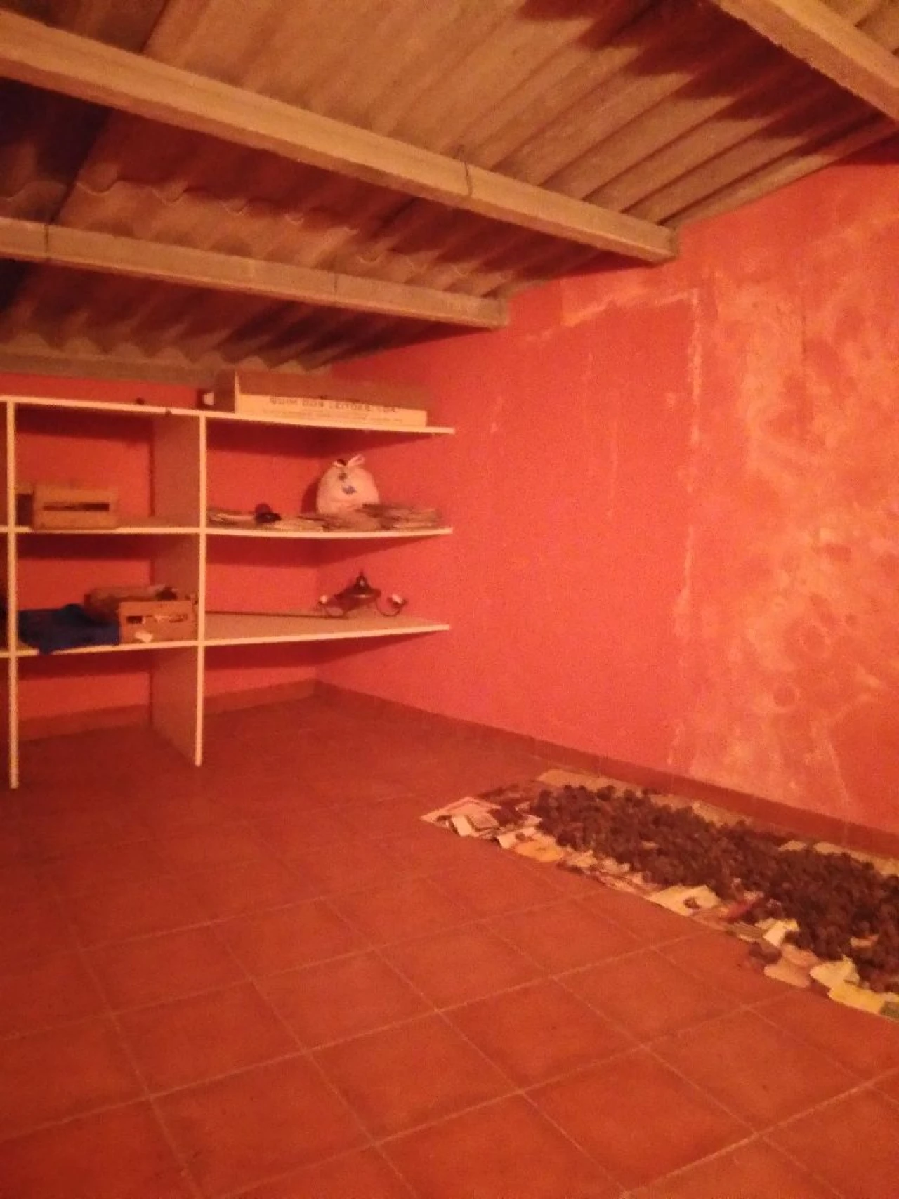 Negócio para Venda em Portalegre Foto 23