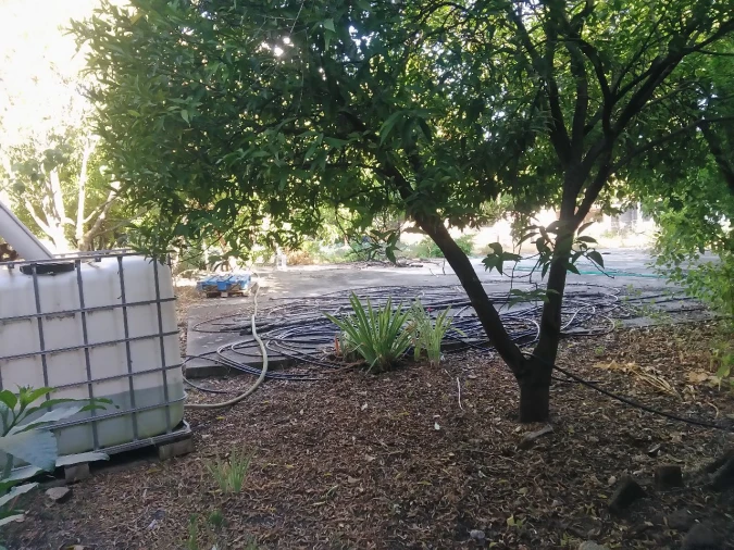 Negócio para Venda em Portalegre Foto 34