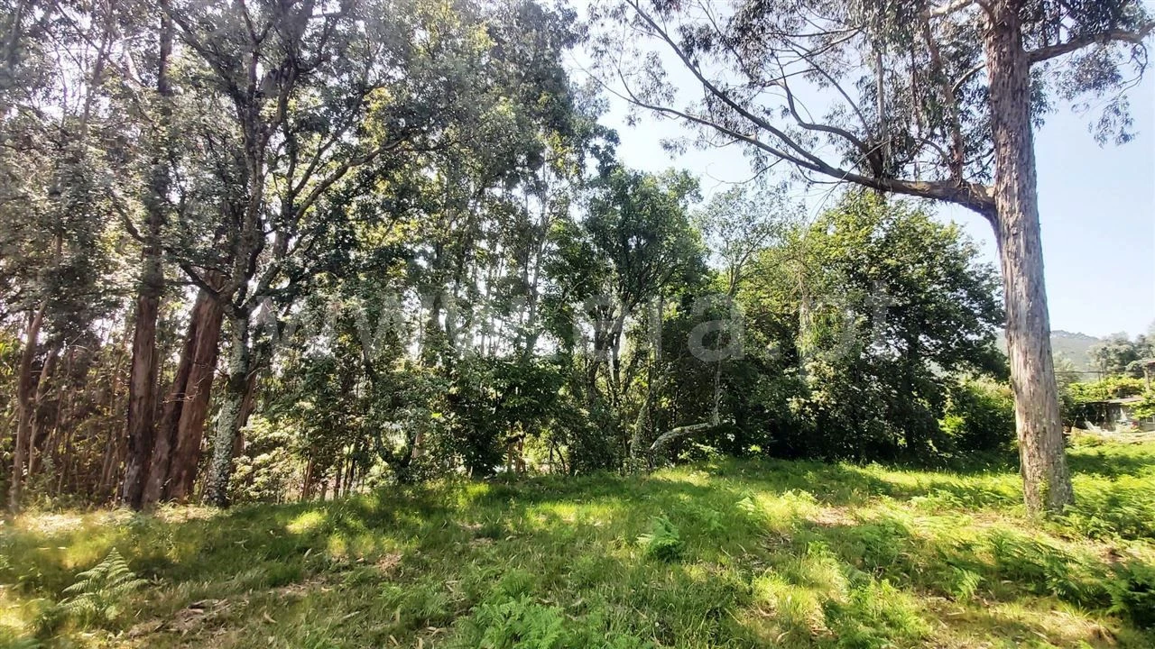 Terreno para Venda em Lanhoso Foto 1